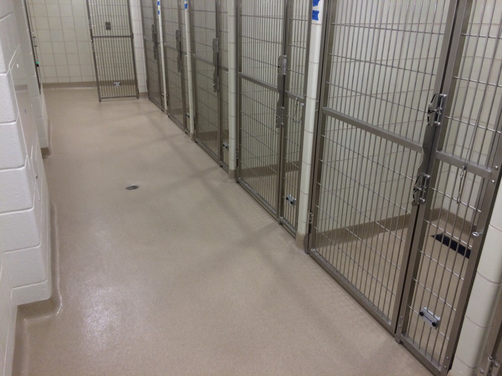 resin flooring in kennels